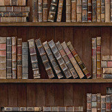 Book Shelves Mural - Brown - by Mind the Gap. Click for more details and a description.