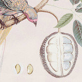 Tissu Paradesia - Orchidée / gris - Sanderson. Cliquez pour en savoir plus et lire la description.
