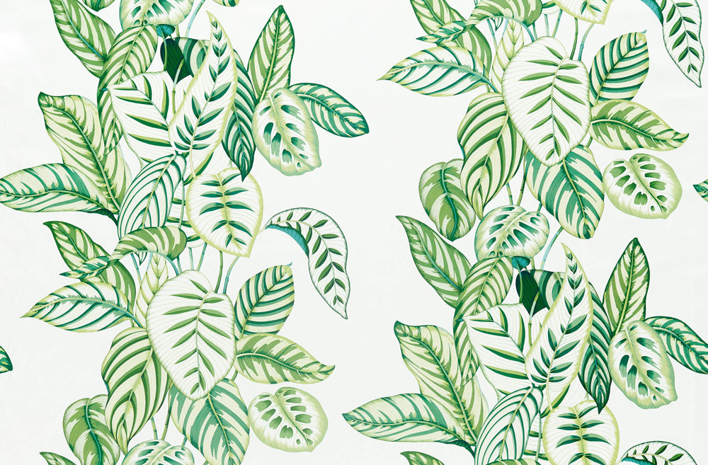 Calathea Fabric - Botanical Green - by Sanderson