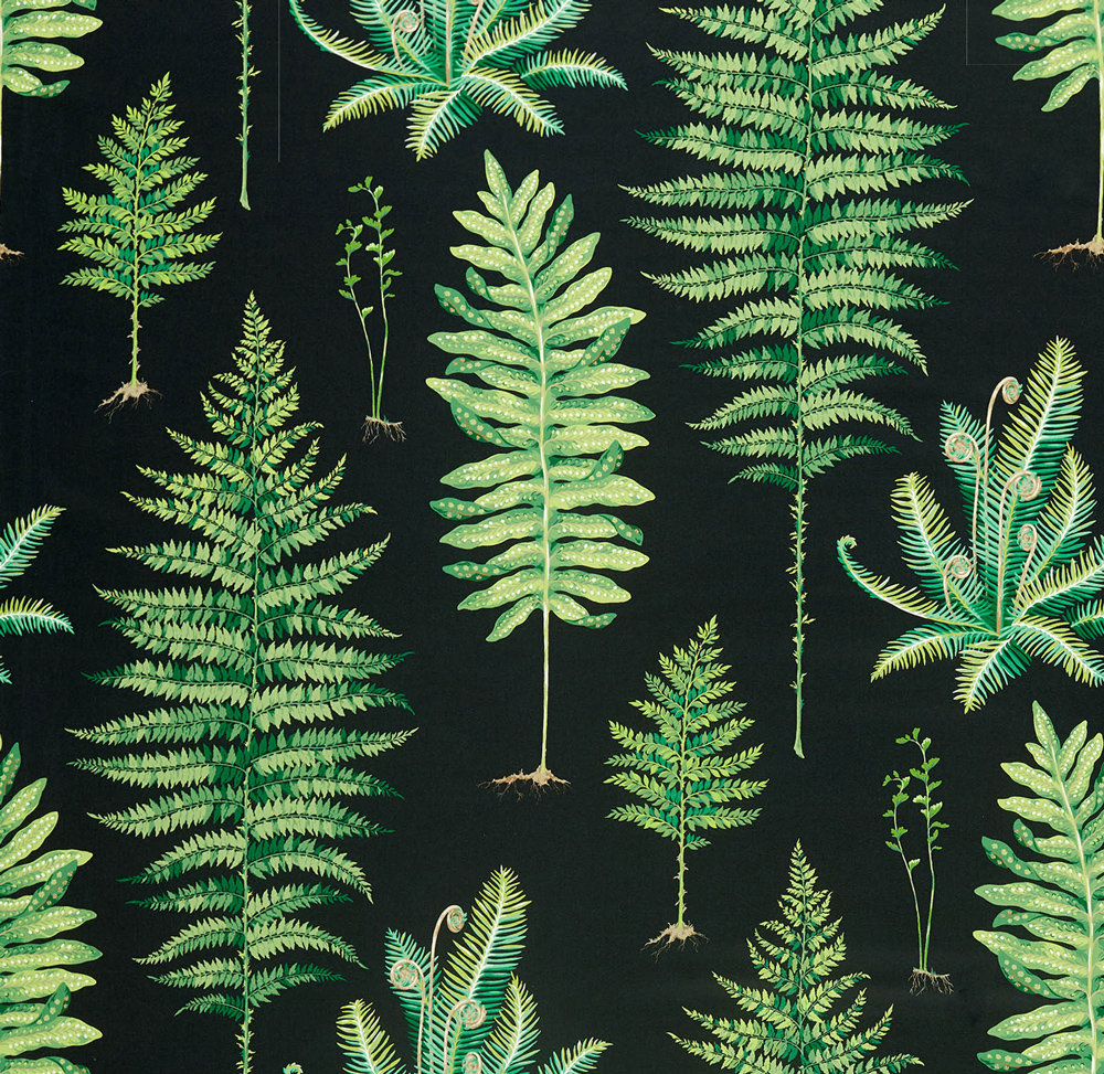 Fernery Fabric - Botanical Green / Charcoal - by Sanderson