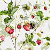 Bumble Wallpaper - Strawberry - by Isabelle Boxall. Click for more details and a description.