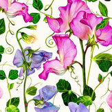 Papier peint Sweet Pea - Rose et bleu - Isabelle Boxall. Cliquez pour en savoir plus et lire la description.