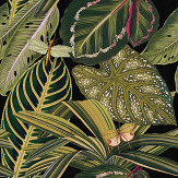 Amazonia Mural - Green - by Mind the Gap. Click for more details and a description.