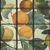 Orangerie Mural - Green - by Mind the Gap. Click for more details and a description.