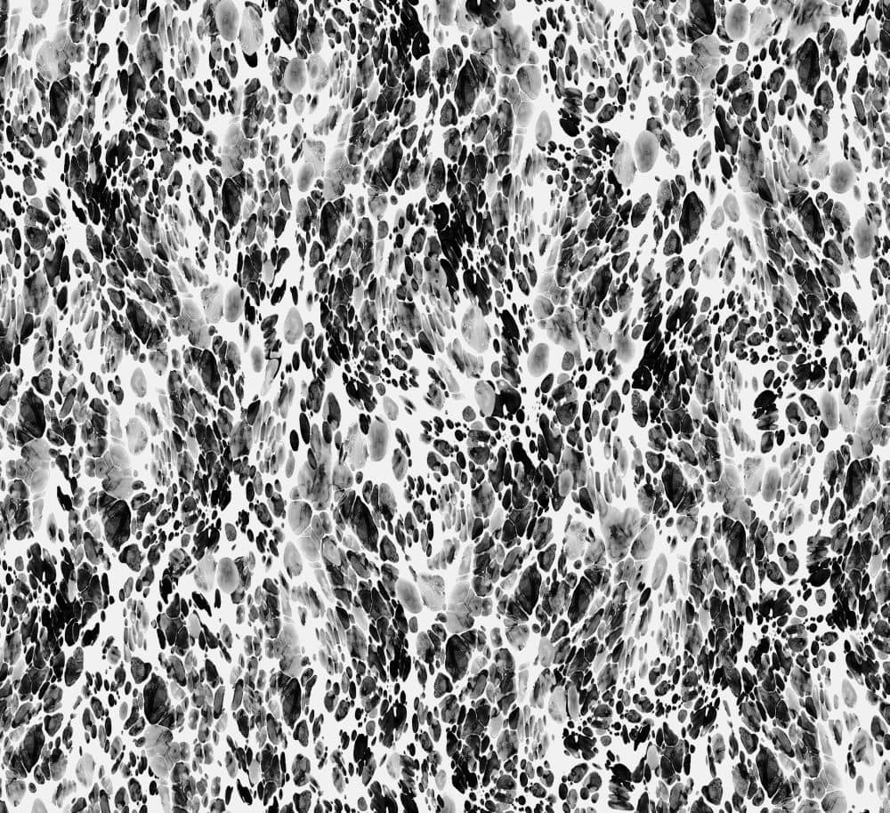 Magma Wallpaper - Black / White - by Jean Paul Gaultier
