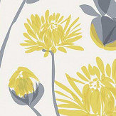 Chrysanthemum Wallpaper - Yellow - by Lorna Syson. Click for more details and a description.