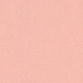 La Scala Del Palazzo Texture Wallpaper - Flesh Pink - by Versace. Click for more details and a description.