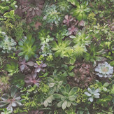 Succulents Wallpaper - Vivid Green and Pink - by Galerie. Click for more details and a description.
