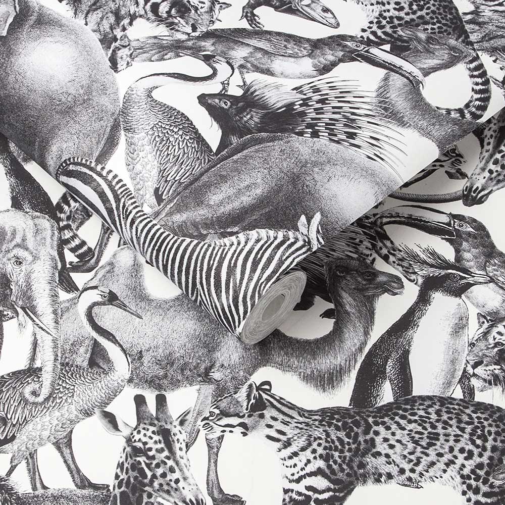 Kingdom Wallpaper - Zebra - by Graham & Brown