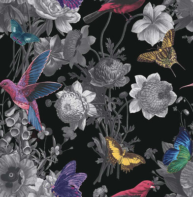 Jardin by Graham & Brown - Black - Wallpaper : Wallpaper Direct