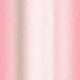 Wildflower Stripe Wallpaper - Coral - by Graham & Brown. Click for more details and a description.