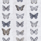 Butterfly Wall Wallpaper - Grey Brown - by Galerie. Click for more details and a description.