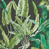 Benmore Wallpaper - Emerald/ Green/ Ebony - by Nina Campbell. Click for more details and a description.