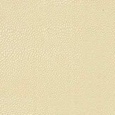 Zingrina Wallpaper - Pale Linen - by Osborne & Little. Click for more details and a description.