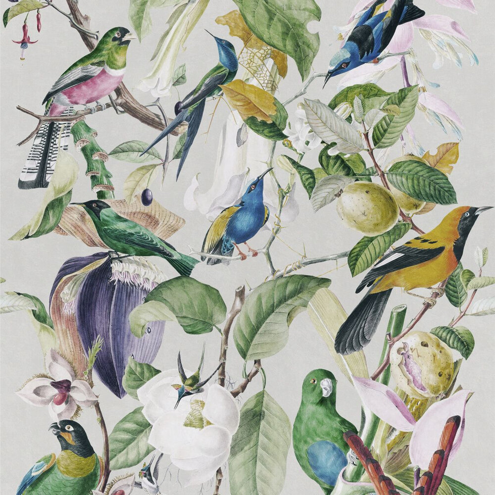 Tropical Birds Mural - White / Multi - by Mind the Gap