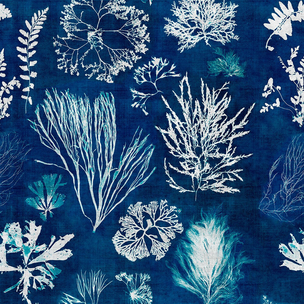Algae Mural - Navy Blue - by Mind the Gap