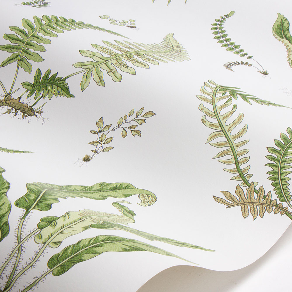 Ferns Wallpaper - Leaf - by G P & J Baker