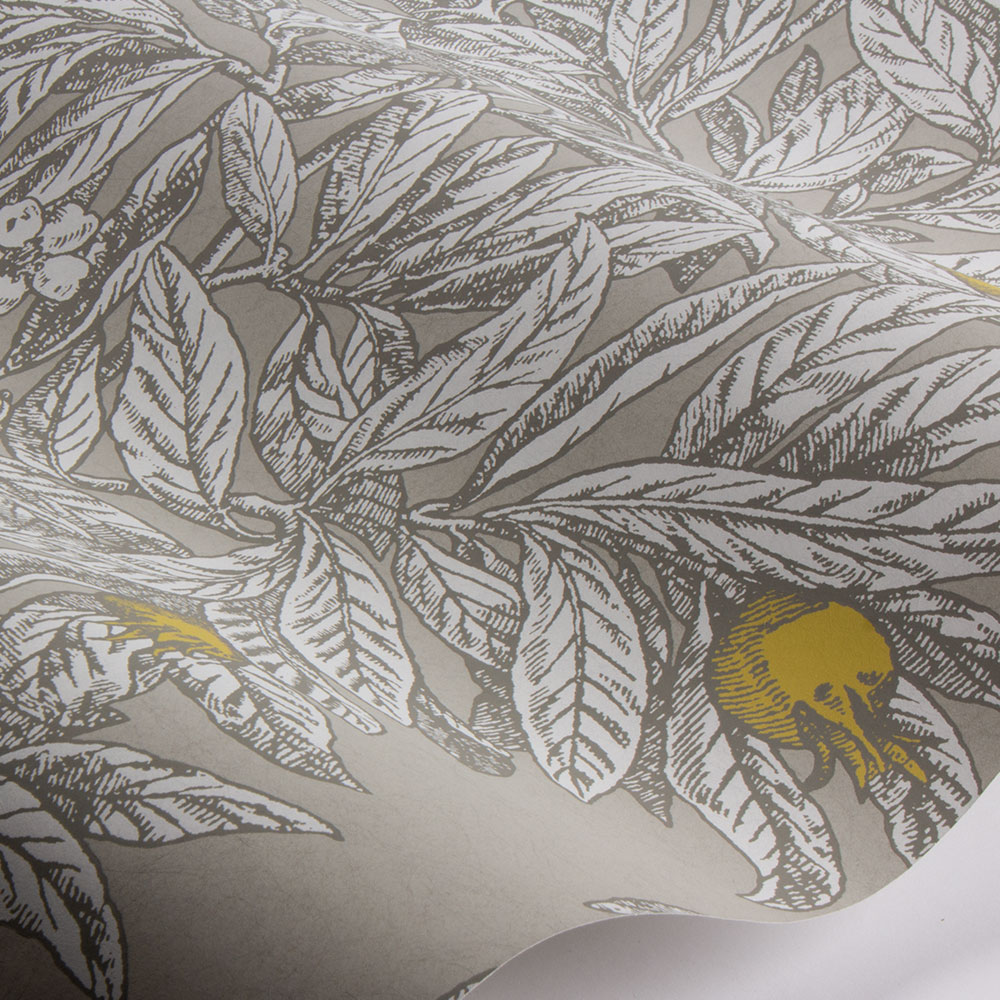 Medlar Wallpaper - Parchment - by Osborne & Little