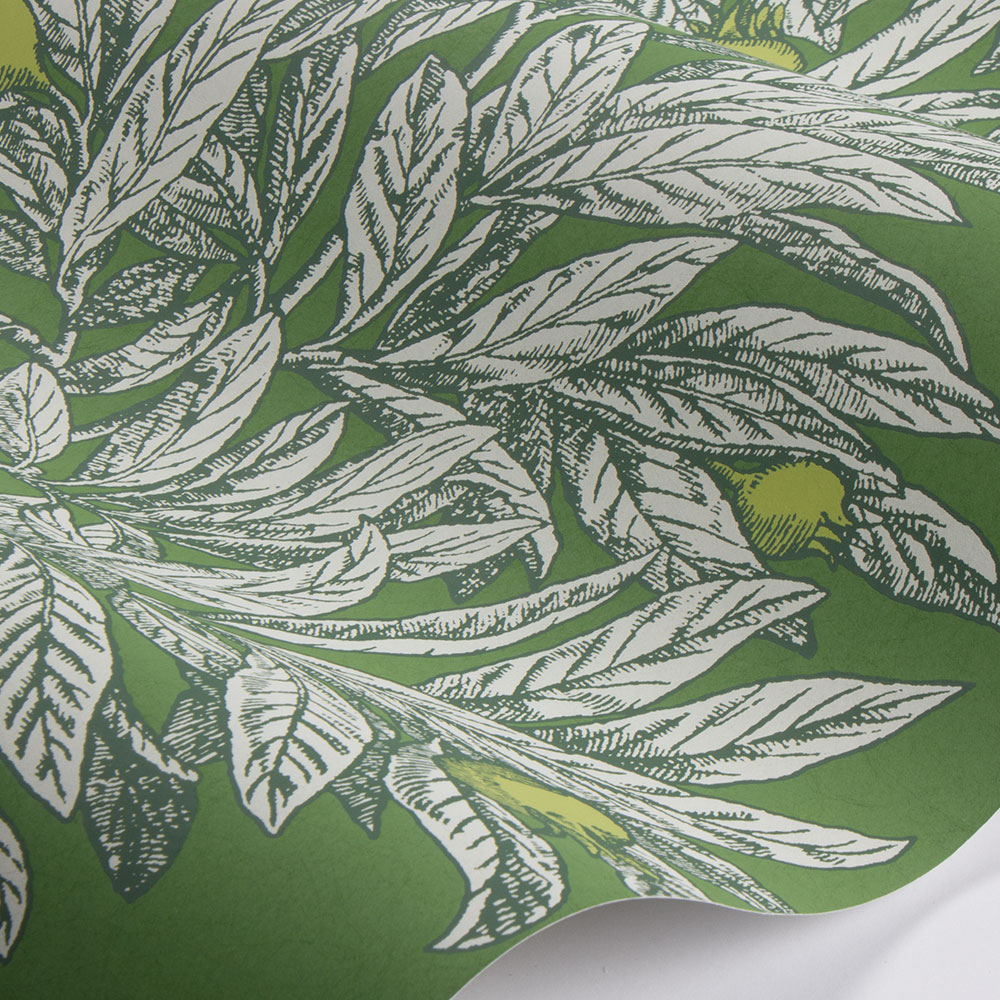 Medlar Wallpaper - Garden Green / Lime - by Osborne & Little