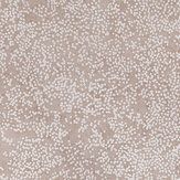 Nyiri Wallpaper - Wild Rose - by Romo. Click for more details and a description.