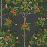 Orange Blossom Wallpaper - Orange & Spring Green on Black - by Cole & Son. Click for more details and a description.