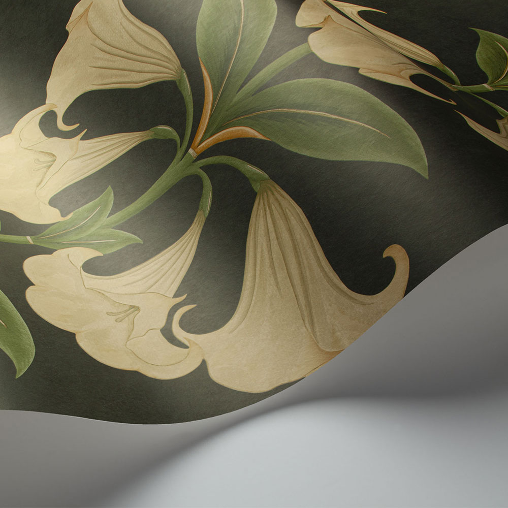 Angel's Trumpet Wallpaper - Cream & Olive Green on Charcoal - by Cole & Son