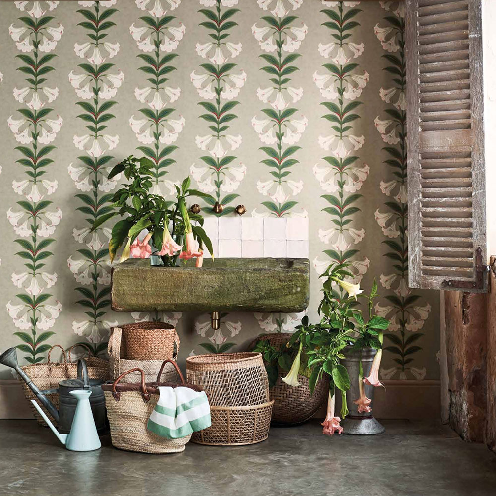 Angel's Trumpet Wallpaper - Chalk & Sage on Stone - by Cole & Son