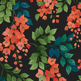 Bougainvillea Wallpaper - Rouge, Leaf Green & Cerulean Sky on Charcoal - by Cole & Son. Click for more details and a description.