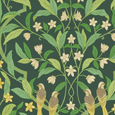 Jasmine & Serin Symphony Wallpaper - Yellow & Leaf Green on Dark Forest Green - by Cole & Son. Click for more details and a description.