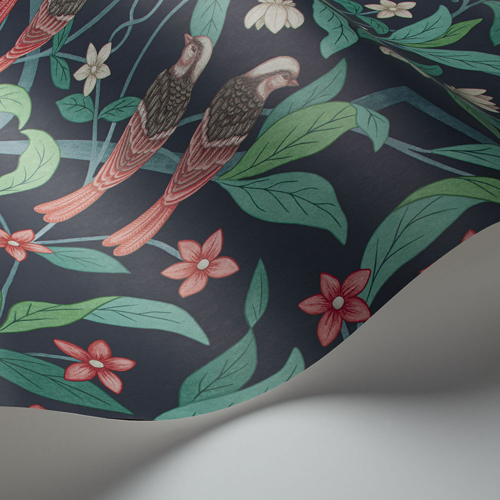 Jasmine & Serin Symphony Wallpaper - Coral & Petrol on Ink - by Cole & Son