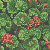 Geranium Wallpaper - Rouge & Leaf Greens on Black - by Cole & Son. Click for more details and a description.