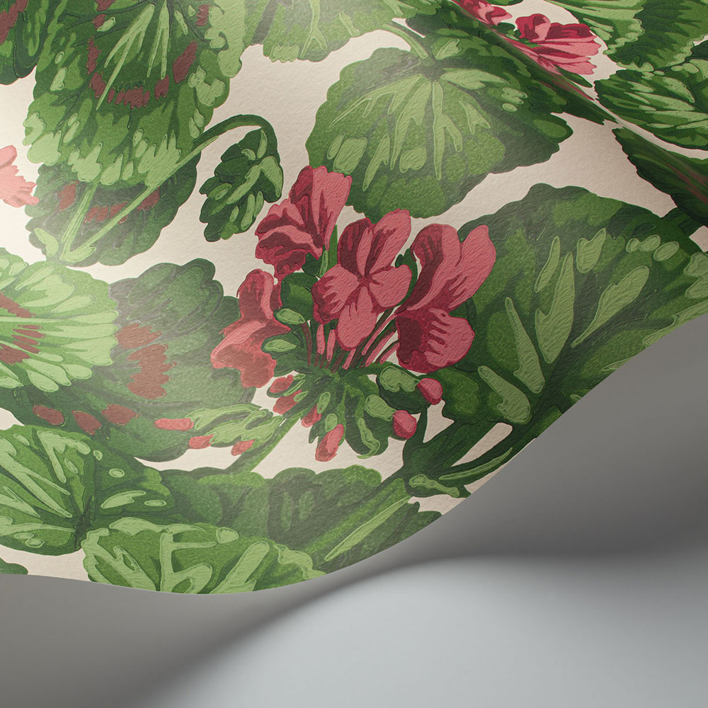 Geranium Wallpaper - Rose & Forest Greens on Parchment - by Cole & Son