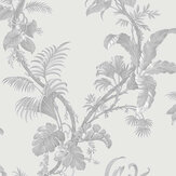 Alocasia Wallpaper - Grey - by Albany. Click for more details and a description.