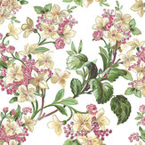 Flowery Wallpaper - Multi-coloured - by Coordonne. Click for more details and a description.