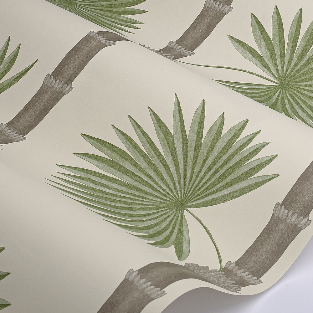 Hardy Palm Wallpaper - Sand III - by Paint & Paper Library