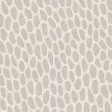 Seedpod Wallpaper - Wattle - by Paint & Paper Library. Click for more details and a description.