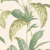Tropicane Wallpaper - Chelsea Garden II - by Paint & Paper Library. Click for more details and a description.