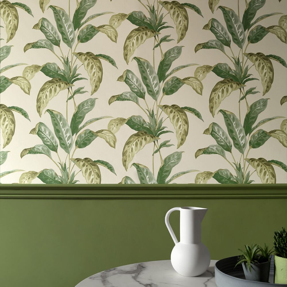 Tropicane Wallpaper - Chelsea Garden II - by Paint & Paper Library