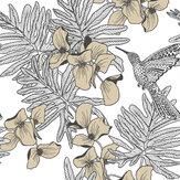 Hummingbird Wallpaper - Jet - by 1838 Wallcoverings. Click for more details and a description.