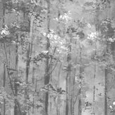 Glade Wallpaper - Jet - by 1838 Wallcoverings. Click for more details and a description.