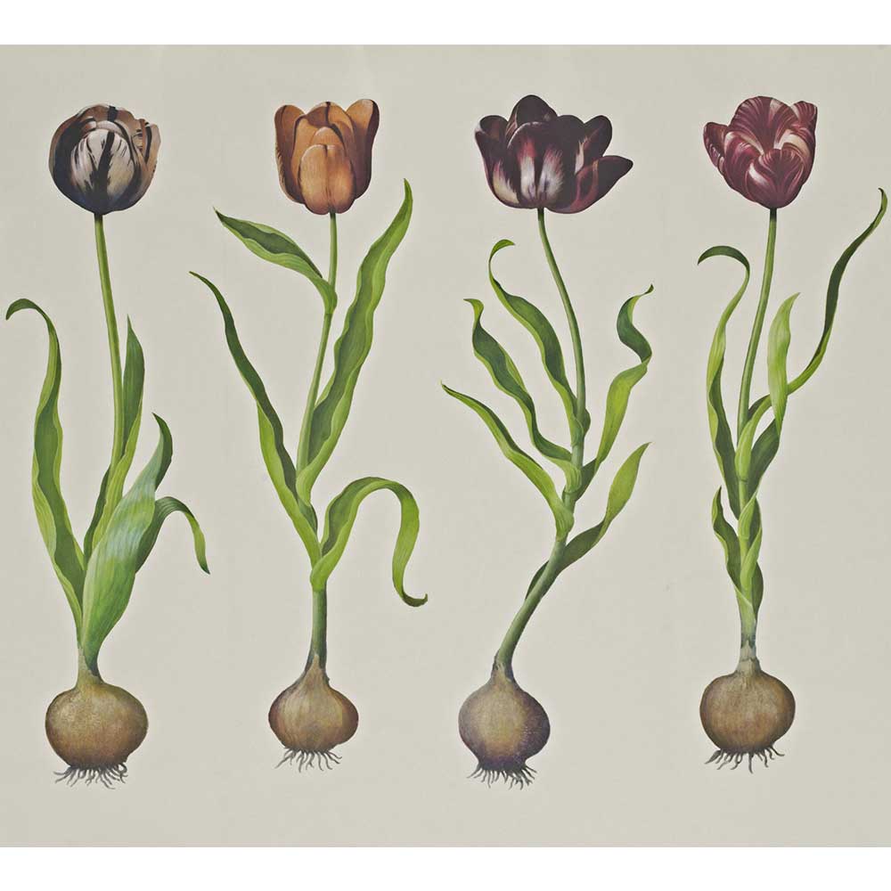 Tulips Mural - Red - by Andrew Martin