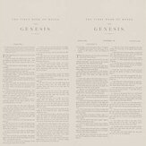 Genesis Mural - Black / White - by Andrew Martin. Click for more details and a description.