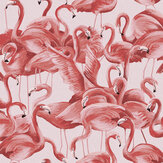 Flamingo Wallpaper - Cheeky Pink - by Tempaper. Click for more details and a description.