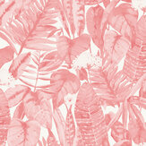 Tropical Wallpaper - Pink Lemonade - by Tempaper. Click for more details and a description.