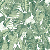 Tropical Wallpaper - Jungle Green - by Tempaper. Click for more details and a description.