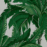 Daintree Palm Wallpaper - Pearl - by Graham & Brown. Click for more details and a description.