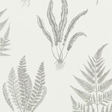 Woodland Ferns Wallpaper - Pearl - by Sanderson. Click for more details and a description.
