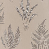 Papier peint Woodland Ferns - Plâtre - Sanderson. Cliquez pour en savoir plus et lire la description.