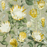 King Protea Wallpaper - Pearl / Woodland yellow - by Sanderson. Click for more details and a description.