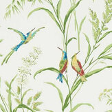 Papier peint Tuileries - Botanique / multicolore  - Sanderson. Cliquez pour en savoir plus et lire la description.